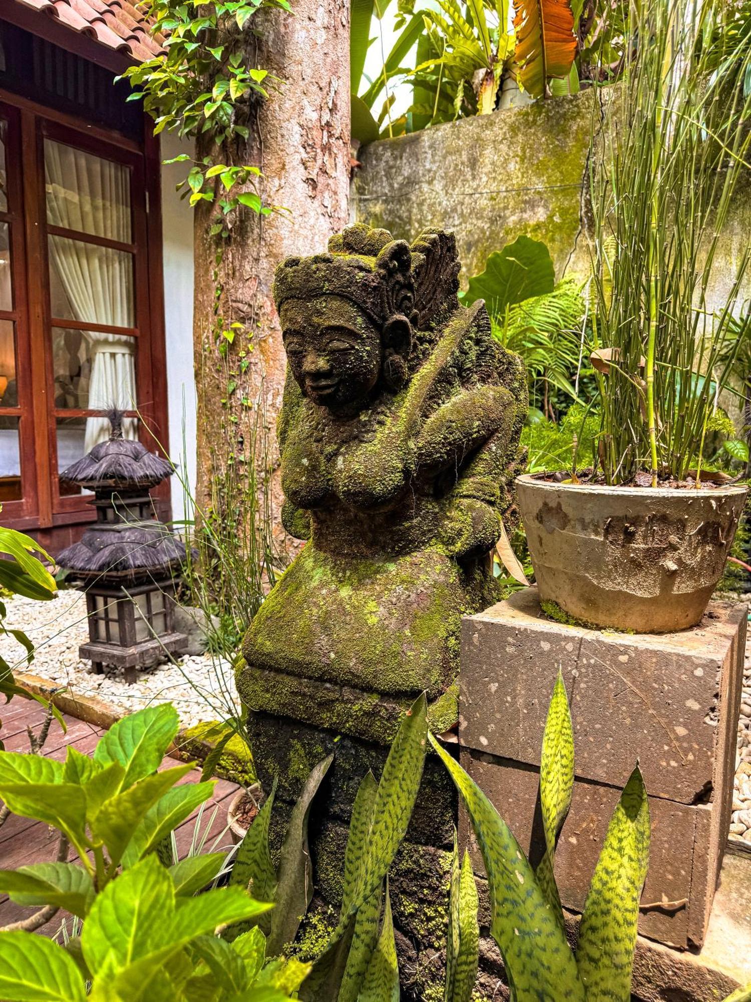 Bali Maison Ubud Exteriér fotografie